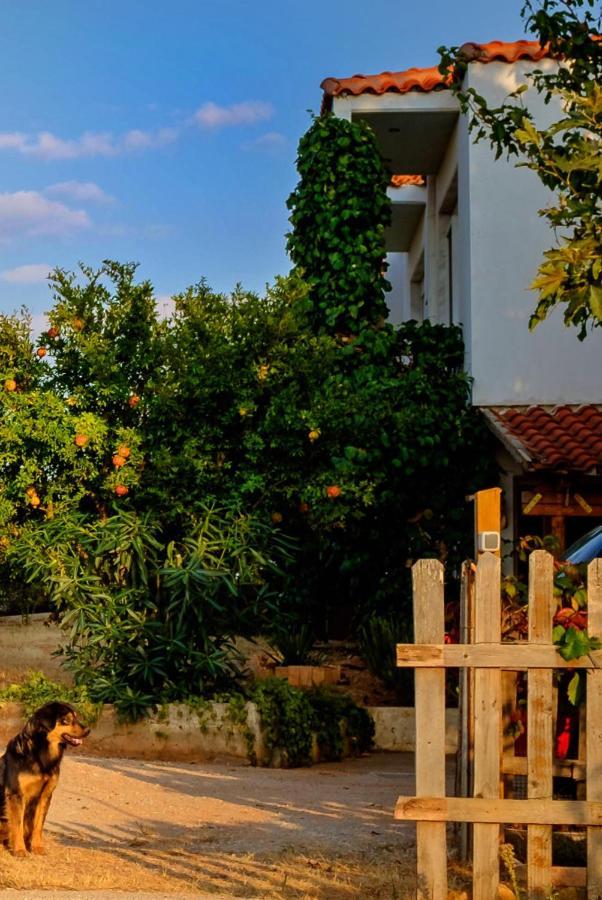 Vineyard Country House With Panoramic Seaview Dedeağaç Dış mekan fotoğraf