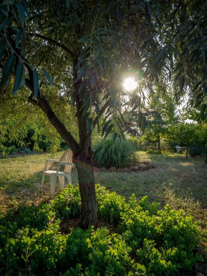 Vineyard Country House With Panoramic Seaview Dedeağaç Dış mekan fotoğraf
