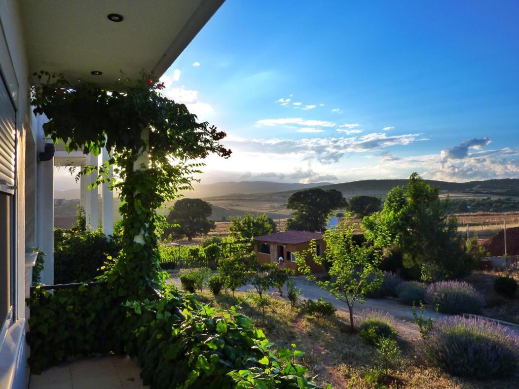 Vineyard Country House With Panoramic Seaview Dedeağaç Dış mekan fotoğraf